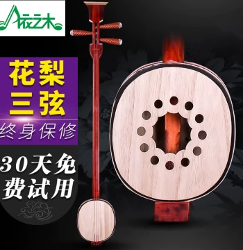 Henan Zhuihu Three-String Instrument in Rosewood for Practice and Performance - Factory Direct with Free Accessories