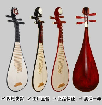 Hardwood Pipa, Rosewood, Toona, Winged Oak, for Adults, Youth, Children, Toddlers, Small Black Practice Northern Instrument
