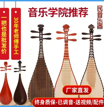 Pipa Instrument for Beginners, Exams, and Professional Performances - Medium Rosewood Pipa for Children and Adults