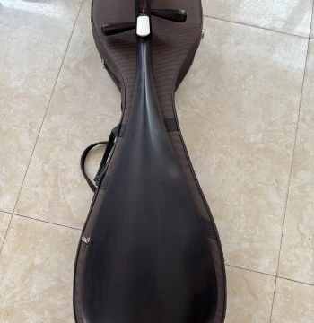 Ebony Pipa Musical Instrument, Purple Sandalwood Professional Performance and Exam Pipa for Adults and Children Beginners