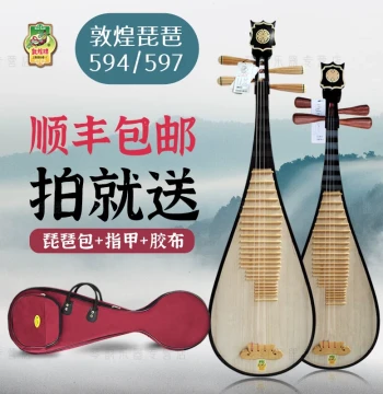 Dunhuang Pipa Instrument 597 Set 594 Rosewood Children Adults Beginner Entry Exam Official Flagship Store