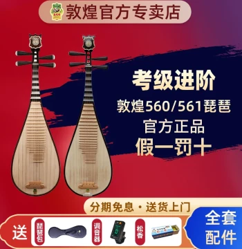 Dunhuang Pipa 561/560, Ironwood or Rosewood, Professional Grade for Exams and Adult Performance, Official Authentic Instrument