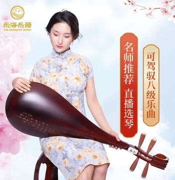 Yuehai Pipa Musical Instrument, Made of Dalbergia Assamica Wood, Engraved Poetry Wooden Pegs, Floral Design Headpiece, Model 913