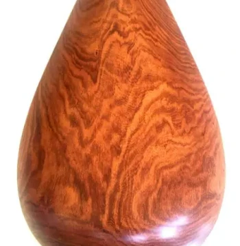Manruixing Premium Professional Pipa for Performance and Competition, Made of Burmese Rosewood, Polished and Wax-Finished