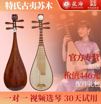 [Video Selection & 30-Day Trial] Xinghai Professional Grade Pipa Made of Dalbergia Fusca Wood, Model 8913 for Adults