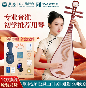 Xinghai Pipa Instrument, Guibou Wood for Beginners, Exams, and Performance, Professional Rosewood Pipa for Adults, Model 8913