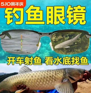Germany Fishing Glasses Polarized Night Vision Professional HD Float Watching Color-Changing Sunglasses Men Lake Spearfishing Fishing Driving