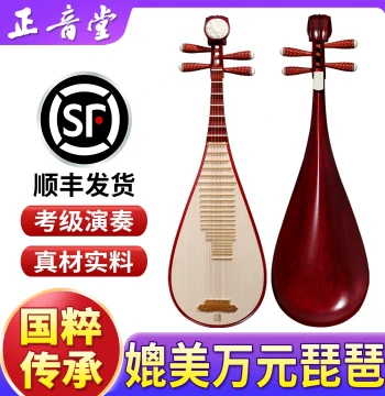Zhengyintang Professional Concert Pipa – Refined National Instrument with Rosewood Back Panel and Peony Head Design, Includes Accessories