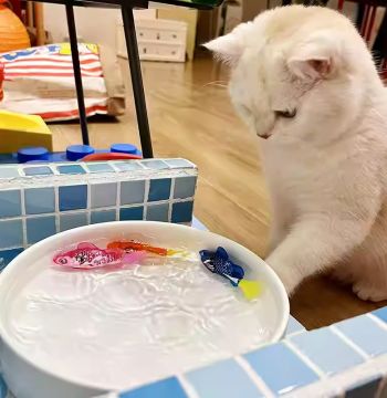 Cat Toy Self-Entertainment Stress Relief Gadget Glowing Simulated Clownfish Swimming Teaser Electric Fish Electronic Induction Fish