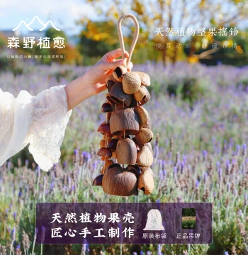 Senye Plant Healing Fruit Shaker Bells, Natural Plant Seed Pod Percussion Instrument for Sound Therapy, Music, New Year and Birthday Gifts