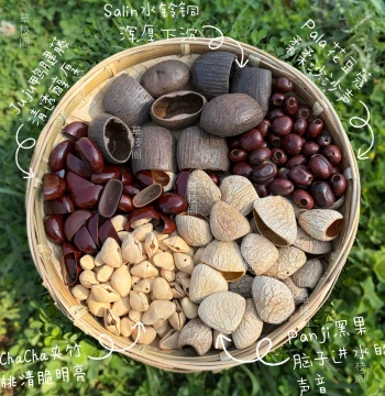 Plant Fruit Shell Material DIY Handmade Accessories Panji Black Fruit Wind Chimes Indonesia Imported Niche Meditation Sound Therapy