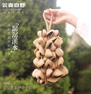 Yunsen Ziye Fruit Shell Hand Chimes Stream Bells Tung Indonesian Black Fruit Wind Chimes Natural Handmade Sound Healing Birthday Gift