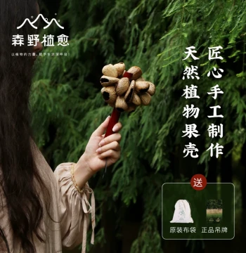 Senye Zhiyu Indonesian Fruit Hand Shaker; Shell Bracelet Bell for Dora Therapy, Yoga, Meditation Accompaniment, and Onomatopoeic Instruments