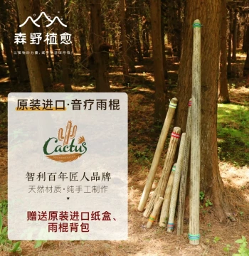 Cactus Rain Stick Healing, South American Chilean Imported Cactus Rain Stick, Ocean Wave Simulated Sound Stress Relief Sound Therapy Instrument