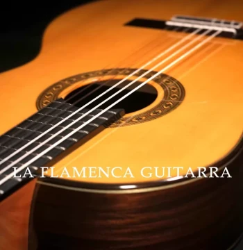 Traditional Flamenco Guitar LA FLAMENCA-LA34 Rosewood