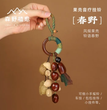 Senye Zhiyu Spring Wild Fruit Shell Wind Chime Bag Charm - Handmade Fruit Shell Shaker Instrument Ornament, Birthday Gift