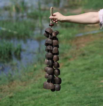 Natural Fruit Shell Bell Handheld Bell Raw Material Wind Chime Bracelet Music Accompaniment Healing Sound Therapy Natural Plant Indonesia Import
