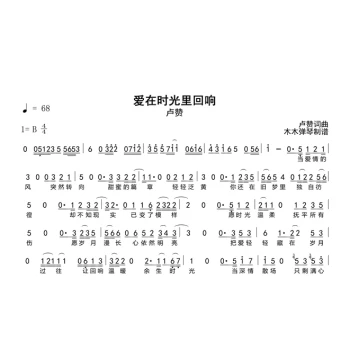 Lu Zan - Love Echoes in Time Simplified Notation Guitar Tab Electronic Version HD Image Complete Score Transcription