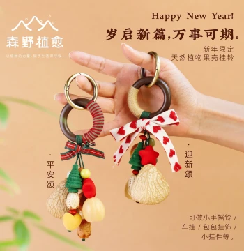 Senye Zhiyu Natural Fruit Shell Wind Chime: Girls' Bag Pendant, Niche Stress Relief, New Year/Birthday Gift with Flowing Water Sound