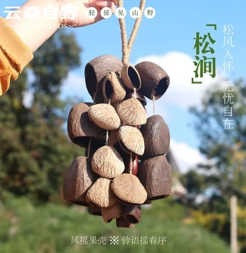 Yunsen Ziyue Natural Fruit Shell Wind Chime - Stream Sound Therapy Bell for Yoga and Healing (Indonesian Black Fruit, Handcrafted)