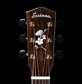 Fei Music Store Eastman ML822CE ZT Plum Blossom Master Limited Edition Electro-Acoustic Folk Wooden Guitar
