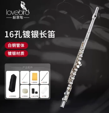 Flute Instrument 16/17 Open/Closed Hole Silver-Plated Key C Major E Mechanism Series for Beginners, Students, and Professional Exams