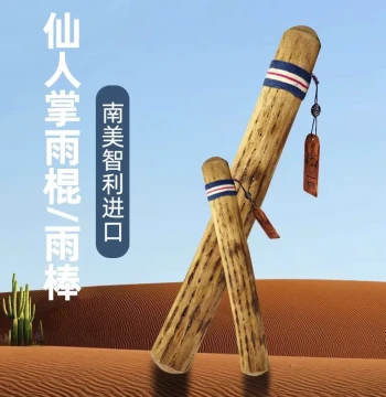 Derui South American Chilean Rain Stick, Listen to the Sound of Rain, Imitative Instrument for Meditation, Niche Sound Healing Cactus Rain Stick