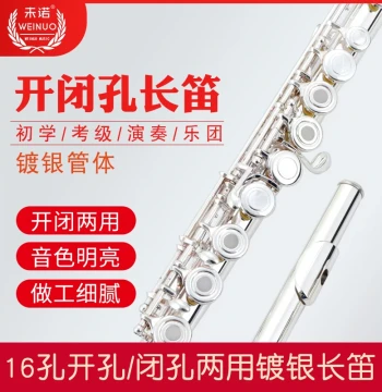 Weino 16-Hole Open/Closed Hole Silver-Plated Flute, Key of C, for Beginners, Children, Adults, Students, Professional Exams, and Orchestra Performance