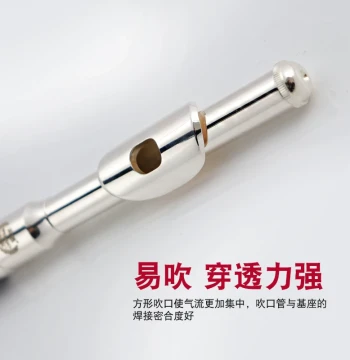 Weinuo Piccolo in C - Western Instrument VPC-E100S, Professional Concert Grade for Bands, Silver Plated