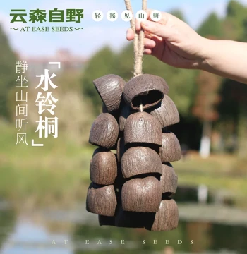 Yunsen Ziyehuo Shell Hand Bell, Wind Chime, Water Bell, Paulownia Natural Handmade Hanging Bell, Stream Salon Instrument, Healing Gift