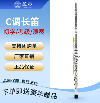 Xinghai Flute Silver-Plated Key of C, 16 Keys Closed Hole Curved Inline E Key, Professional Conservatory Grading Flute Instrument