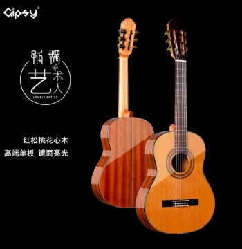Premium Gipsy High-End Classical Guitar, 39-Inch, 330/34 All-Solid Wood, Nylon Strings, Size 38, Certified for Exams, for Kids