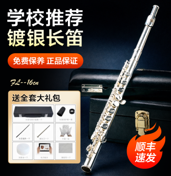 Flute Instrument, 16/17 Open/Closed Hole, Silver-Plated, Key of C, E Key, Inline Style for Students, Beginners, Professional Exams, and Performance