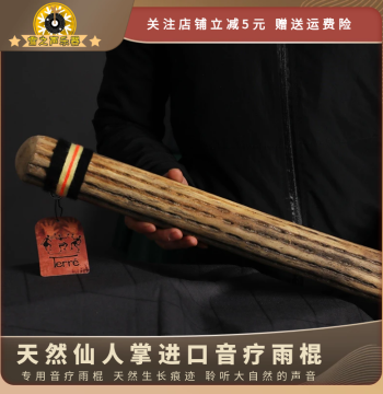 Cactus Rain Stick, South American Chilean Rain Maker, Stream Tube, Niche Meditation Instrument, Indigenous Rain Rod