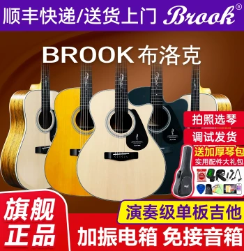 Brook V12 Guitar, Professional Amplified Acoustic-Electric with Solid Top for Stage Performance, Official Flagship Store