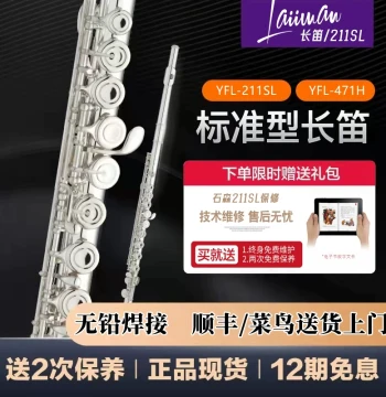 Standard Genuine Silver-Plated Flute, 16/17 Open/Closed Hole, Key of C, for Beginners, Children's Exams, and Adult Professional Use
