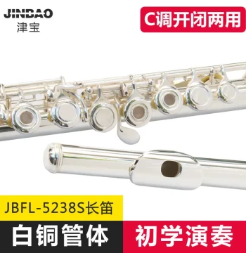 Jinbao Flute Instrument Key of C, 16-Hole Open/Closed Hole Dual-Use with E Key, 17-Hole Children's Flute 5238/6248 Silver Plated