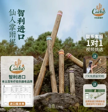 Cadus Chilean Imported Cactus Rain Stick Outdoor Healing Instrument 1-on-1 Video Selection Rain Sound Tube Instrument