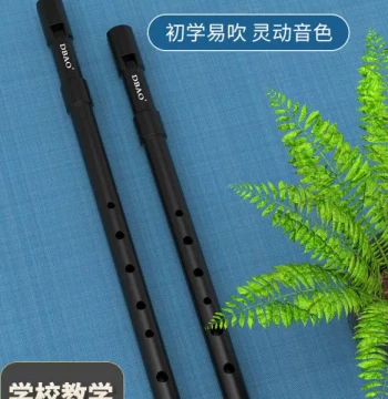 Irish Resin Tin Whistle in Key of C and D Major, Six-Hole Fipple Flute for Beginners, Students, and Classroom Teaching