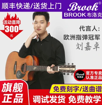 Brook S25 Guitar, Top 10 Brand Authentic Folk Guitar, Official Flagship Solid Top Acoustic-Electric Model