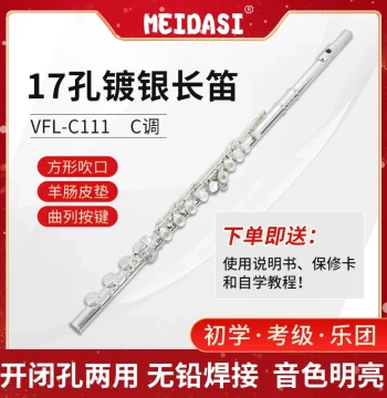 MEIDASI Open/Closed Hole Silver-Plated Flute in C for Kids, Adults, and Students – Professional Instrument for Exams and Performance
