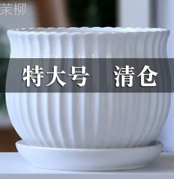 Ceramic Flower Pot with Tray, Special Offer, Extra Large, Creative Design for Succulents, Indoor Home Use, Spider Plant, Pothos, Free Shipping, Clearance