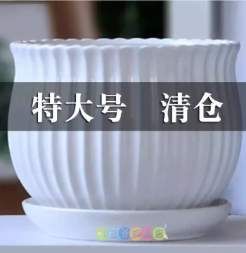 Ceramic Flower Pot with Tray Special Offer Extra Large Creative Succulent Indoor Home Hanging Pothos Pot Free Shipping Clearance