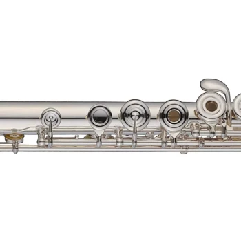 Avida Flute