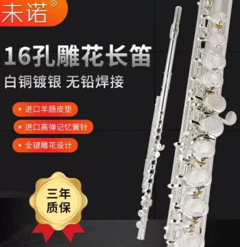 Weinuo 16/17-Hole Flute with Open/Closed Keys, Engraved Design, Imported Parts, Stable C Key for Beginners, Exams, Performances, and Orchestras