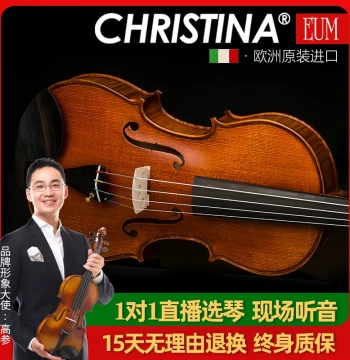 EUMASTER-4000 European Original Import Handmade Solo Grade Viola (Size 406mm) 16 Inch