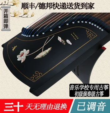 National Standard 163 Guzheng - Professional Performance Grade Portable Instrument for Level 10 Exams and Beginners (125 Mini Guzheng Available)