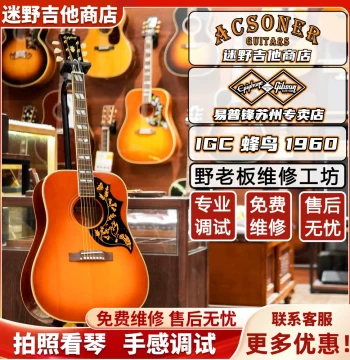 Epiphone IGC Hummingbird 1960 All-Solid Acoustic-Electric Guitar – Wild Mystery Finish