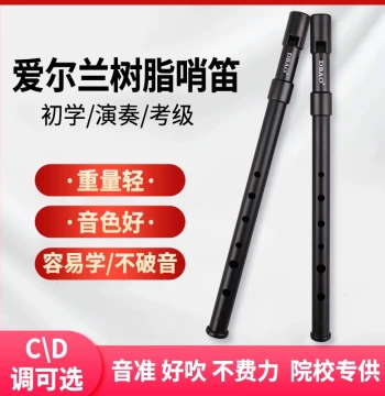 DBAO Irish Tin Whistle for Beginners - Resin and Metal 6-Hole Flute in Key of C or D, High or Low Pitch Vertical Flute