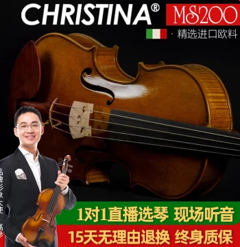 Christina MS200 Viola, Imported European Wood, Adult 13-16.5 Inch, Professional Performance and Examination Viola